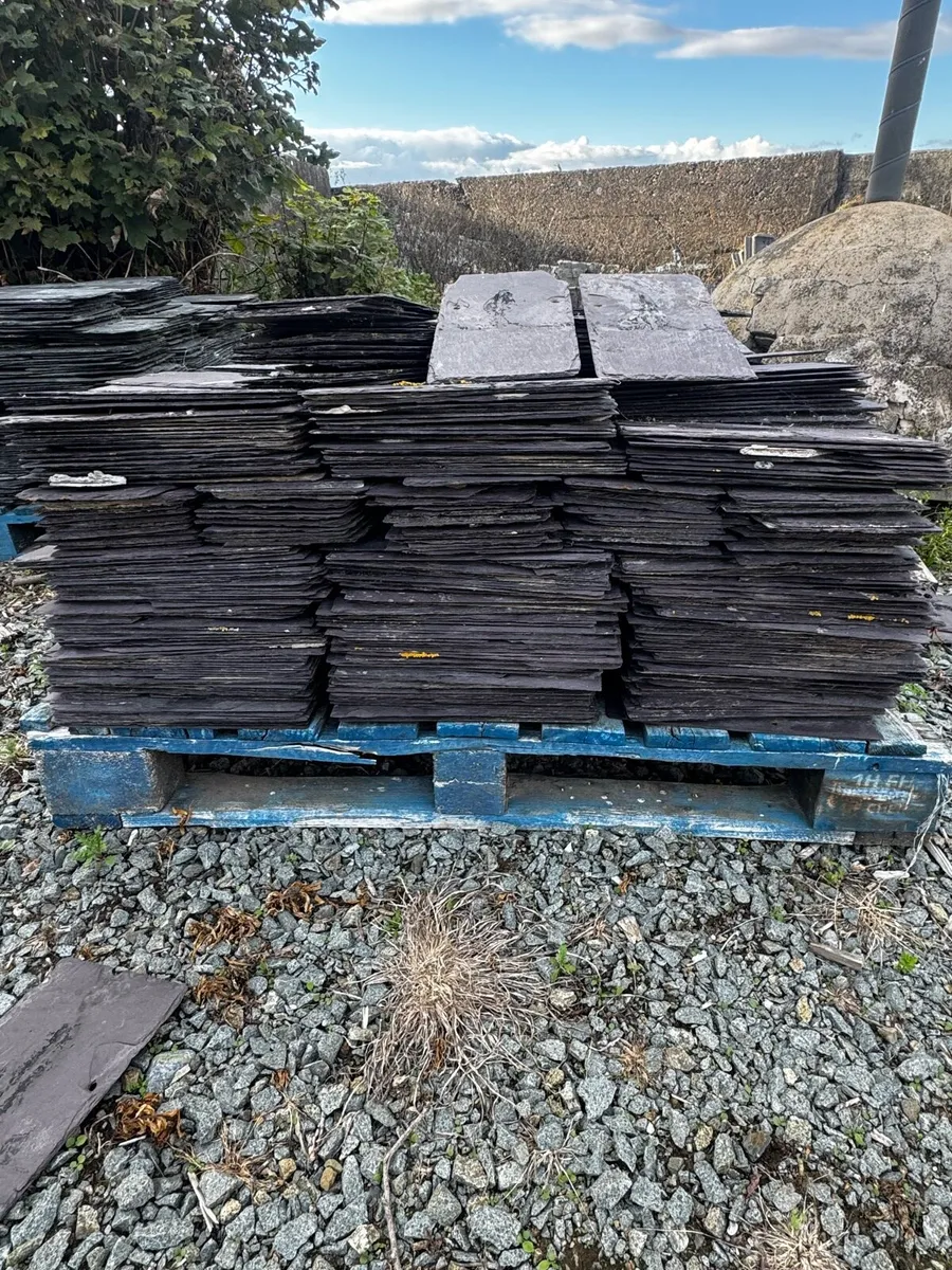 Blue Bangor slates - Image 1
