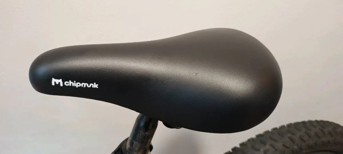 Kids Cycle 18 inch chipmunk summer cycle - Image 3