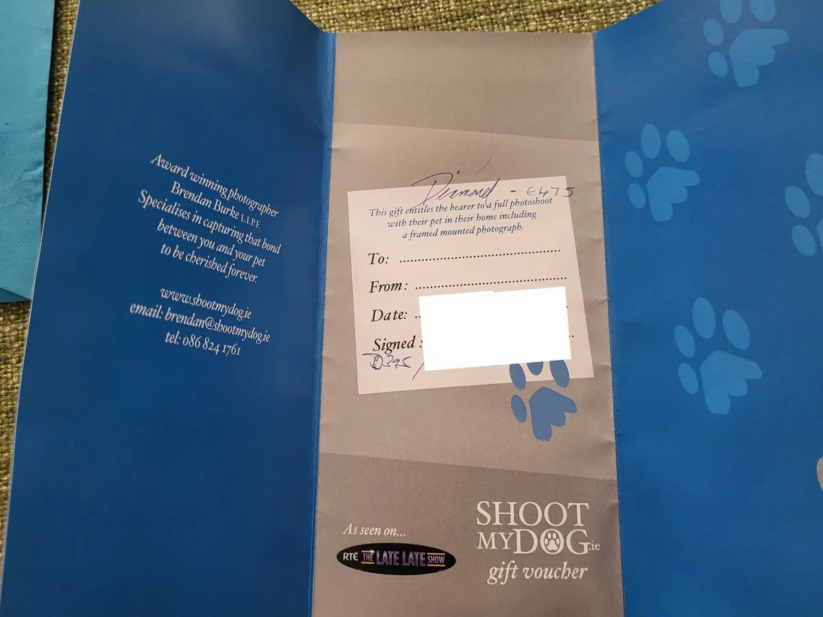Gift Voucher for Pet Photography - Image 2