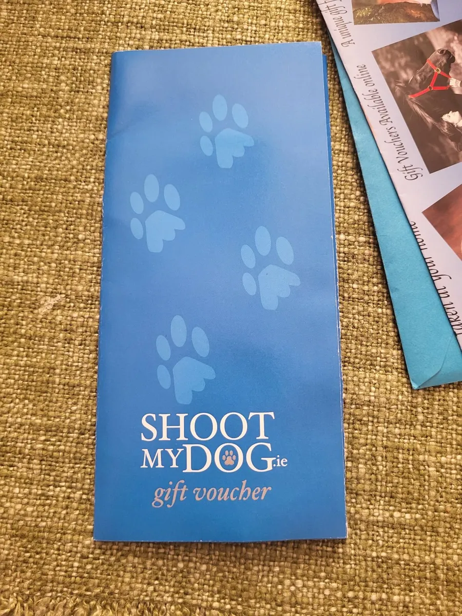 Gift Voucher for Pet Photography - Image 3