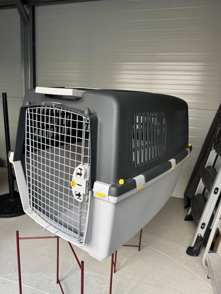Pet supplies - Image 2
