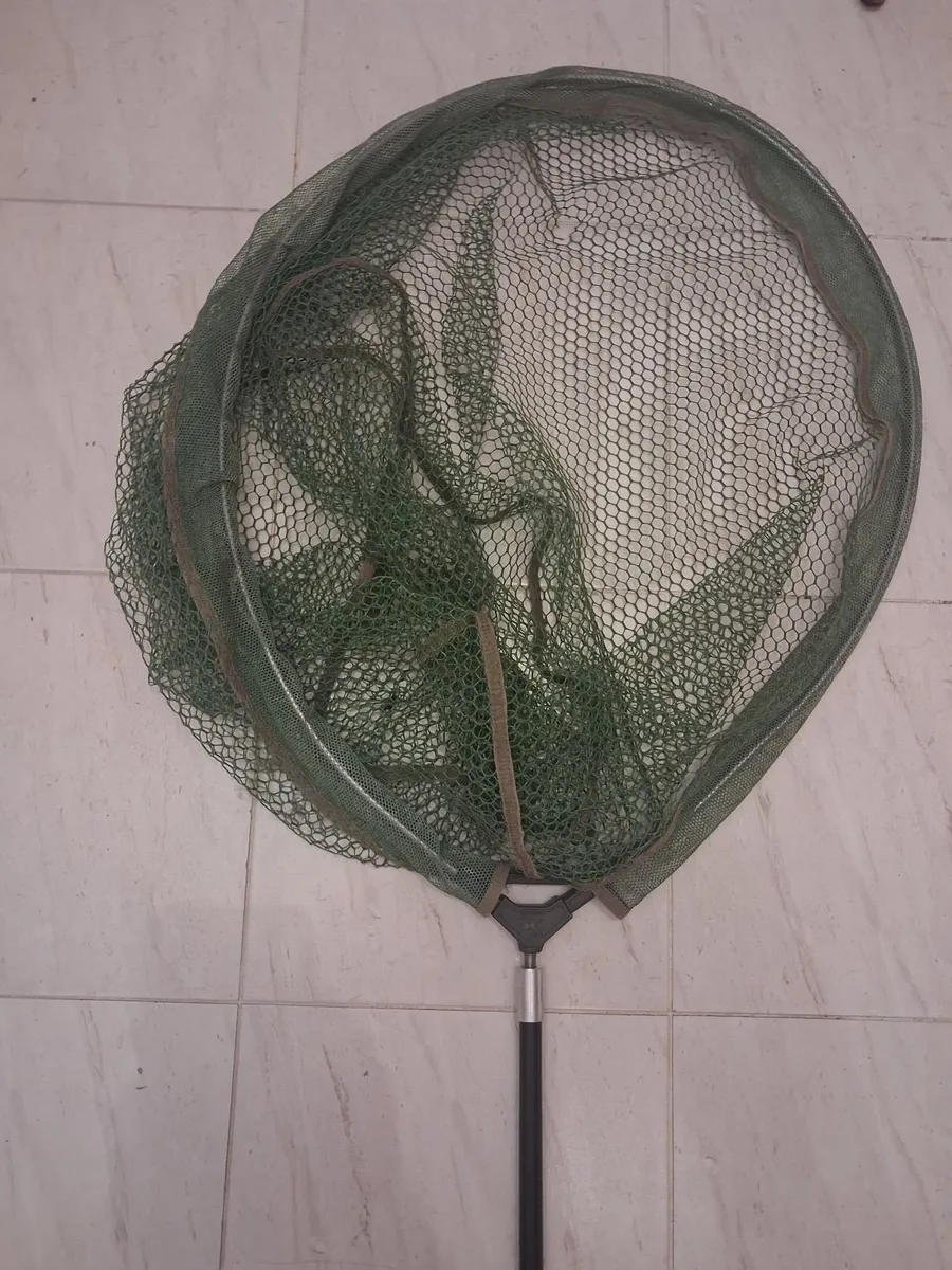 Fishing - Image 1