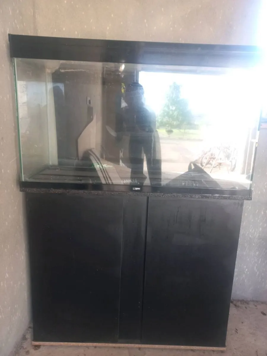 Fish tank - Image 1