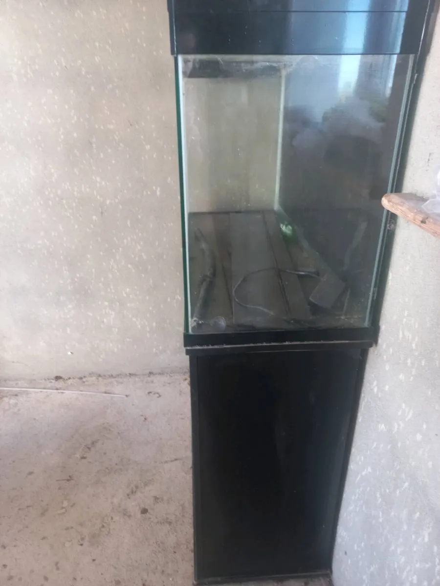 Fish tank - Image 2