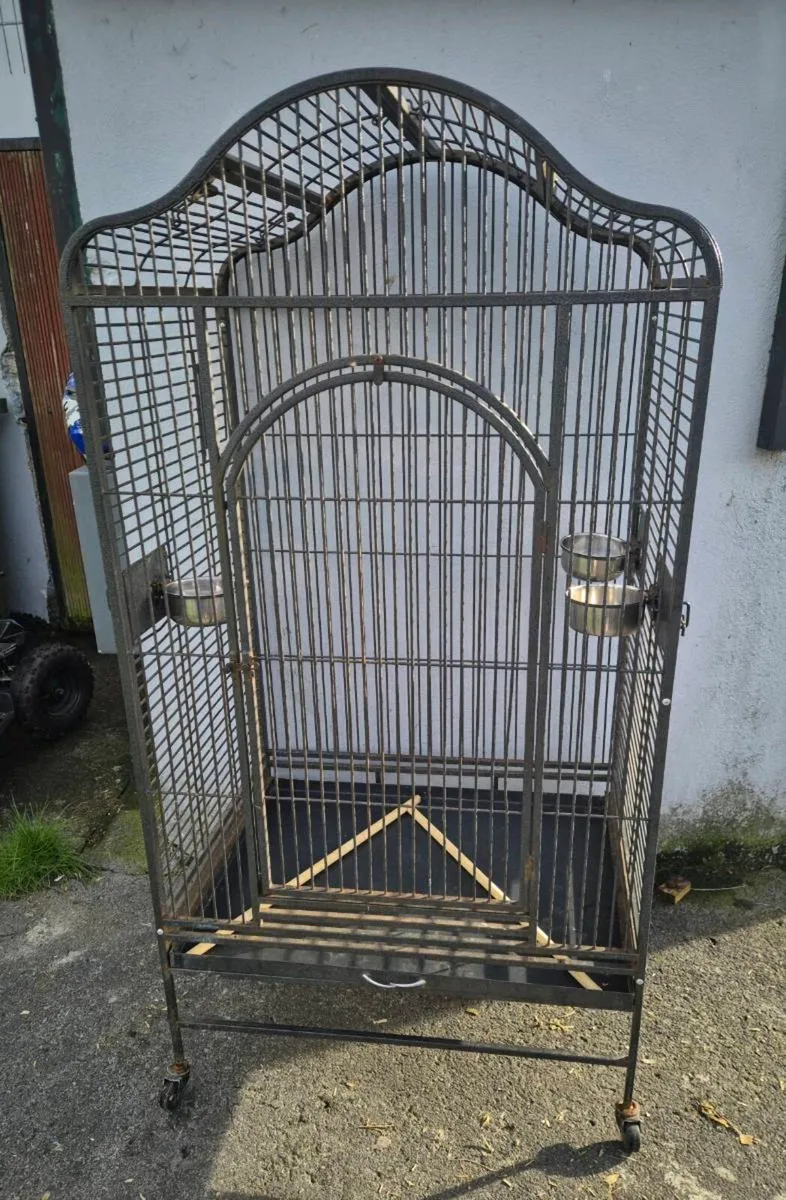 Parrot cage