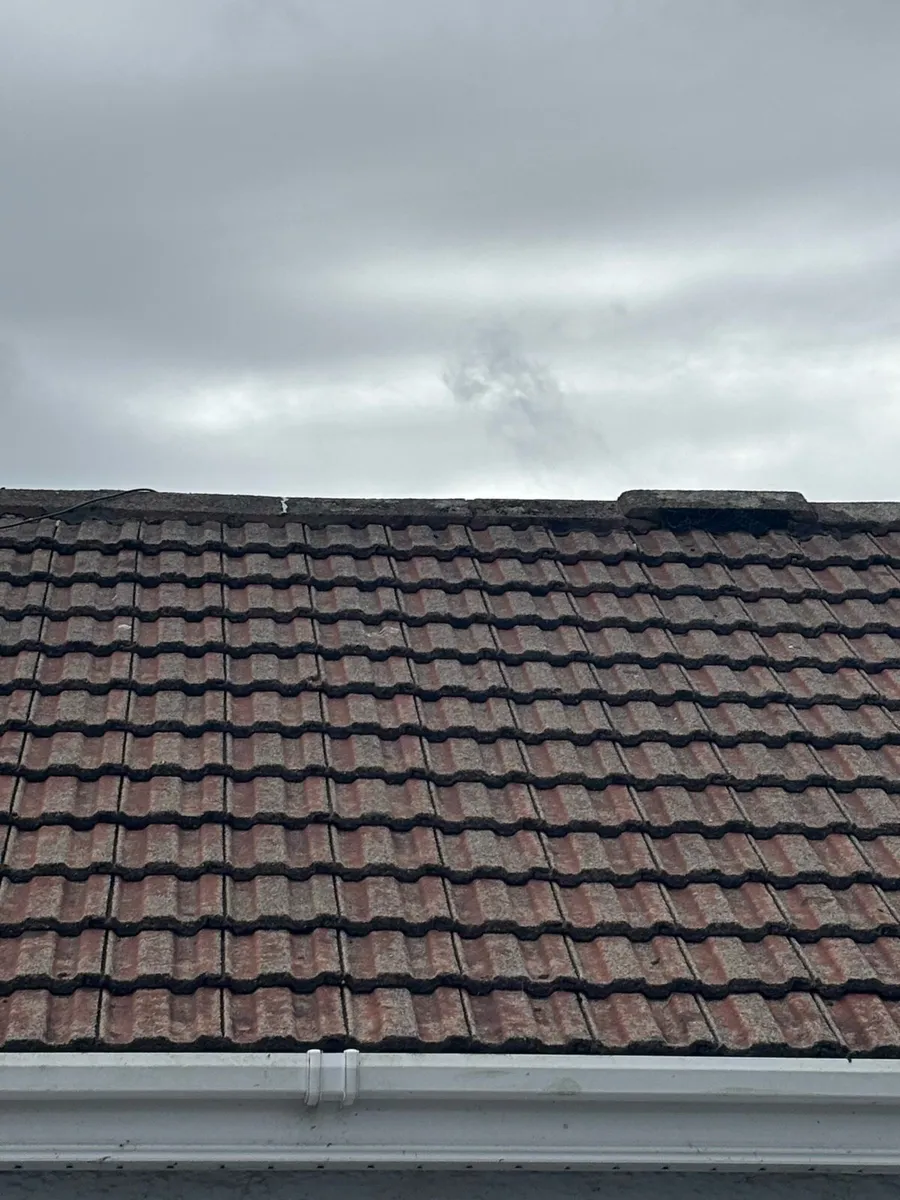 Roof tile - Image 1