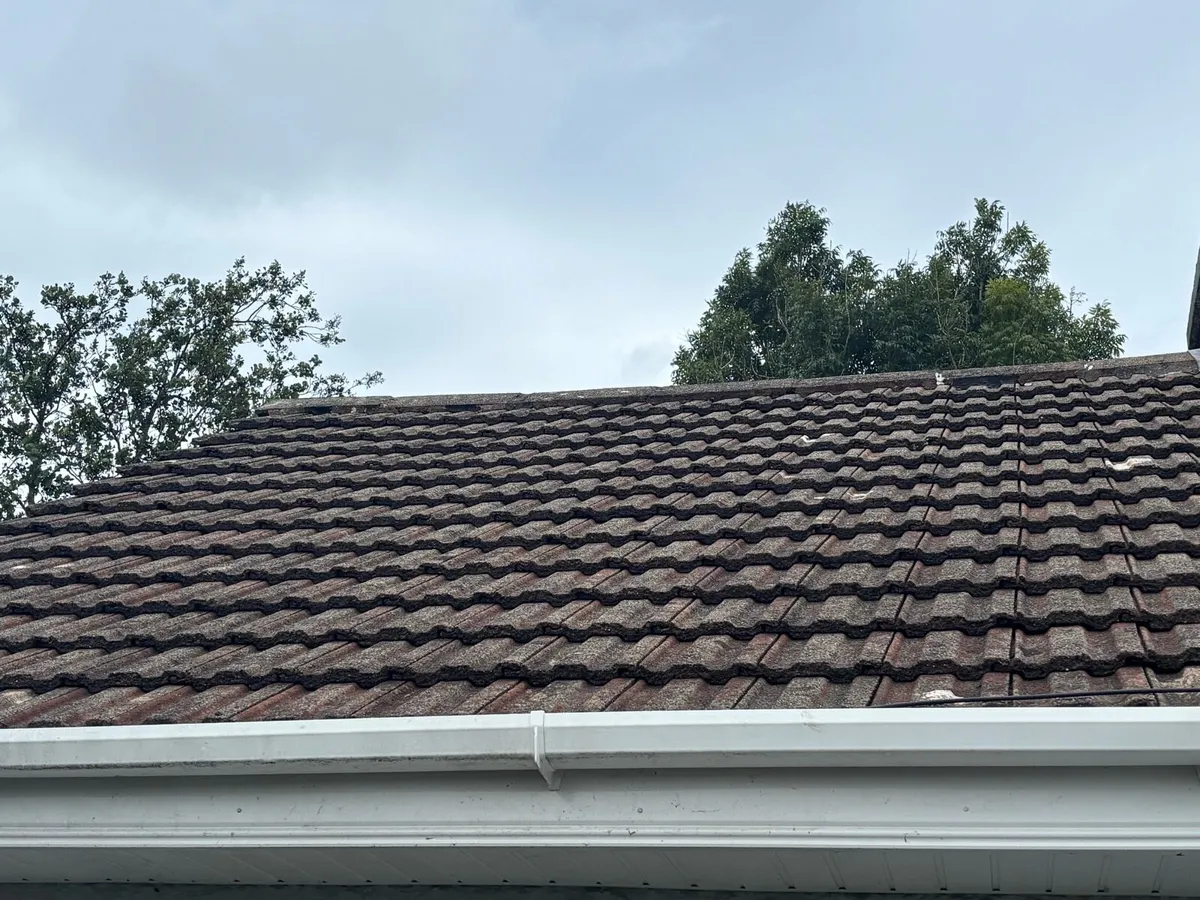 Roof tile - Image 2
