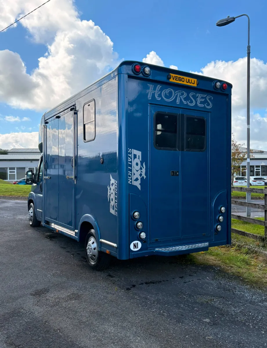 Ni registered Horse lorry - Image 3