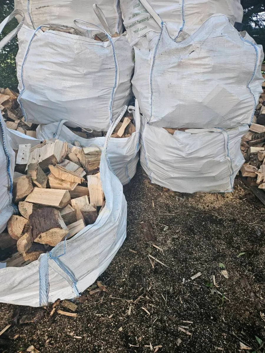 Firewood - Image 1