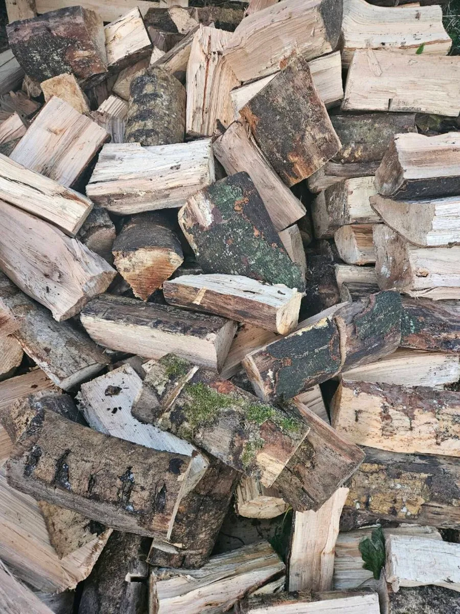Firewood - Image 2