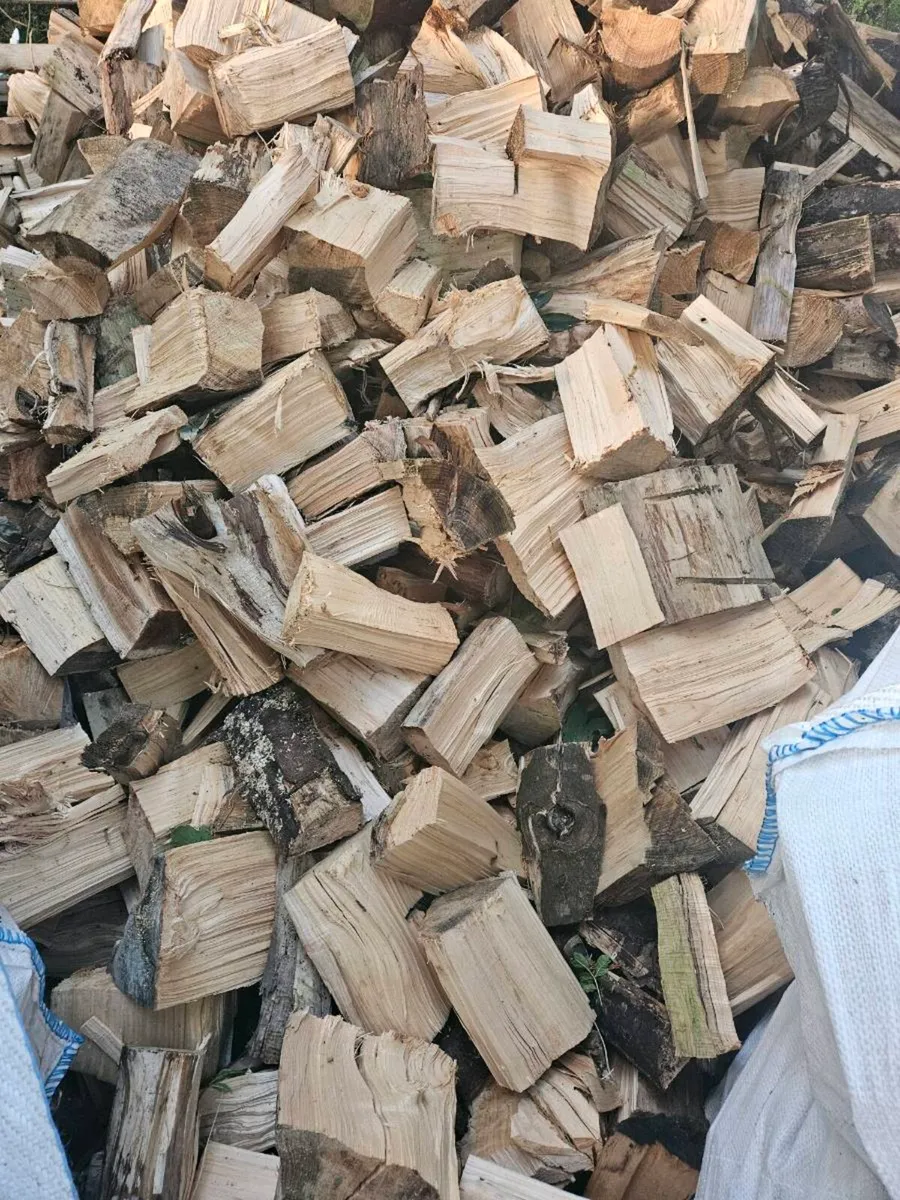 Firewood - Image 3