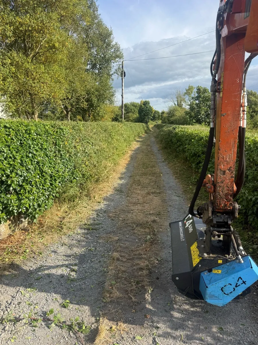 2026 C4 mini digger mulcher - Image 4