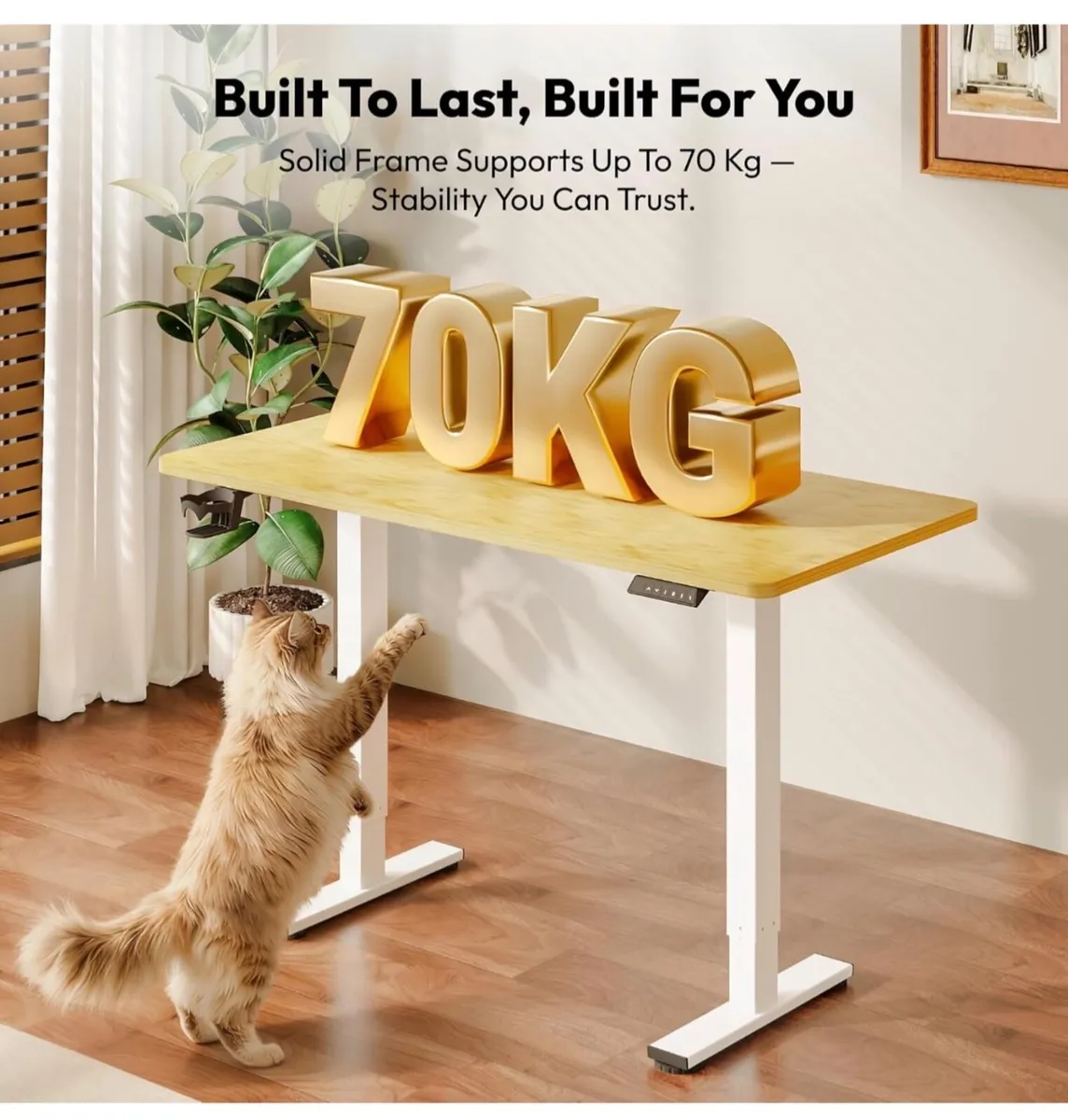Electric Standing Desk 110 * 54 One Piece Height A - Image 4