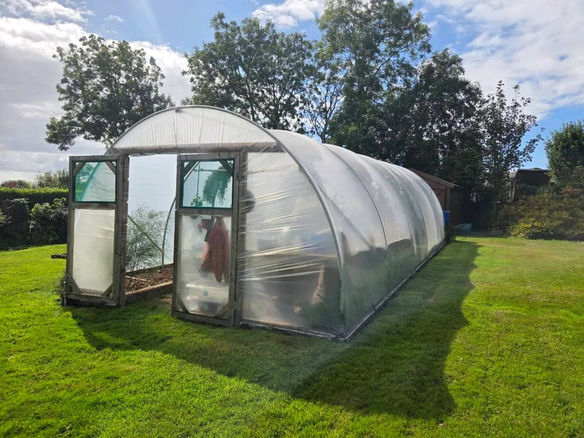 Polytunnel - Image 2