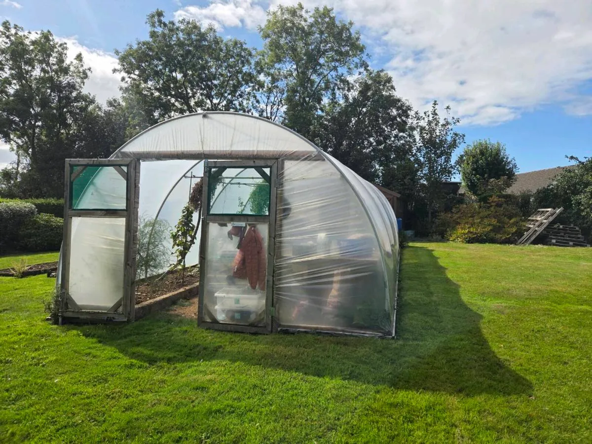 Polytunnel - Image 3