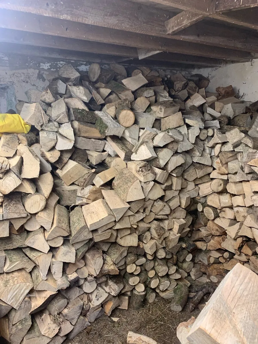 Firewood - Image 1
