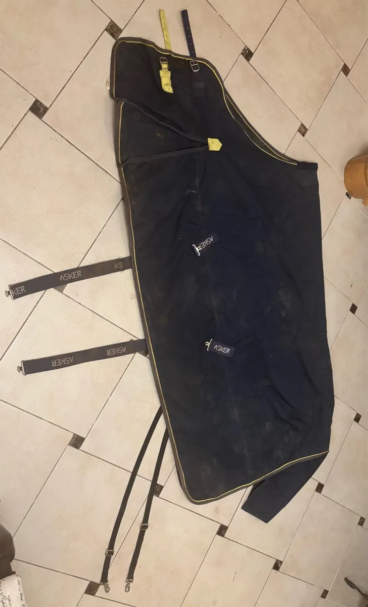 300g Turnout Rug - Image 2