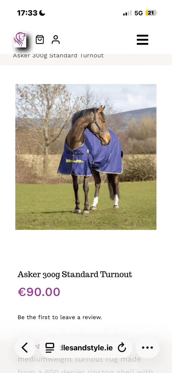 300g Turnout Rug - Image 1
