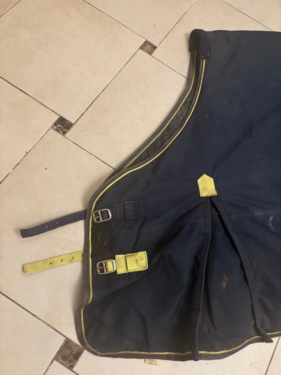 300g Turnout Rug - Image 4