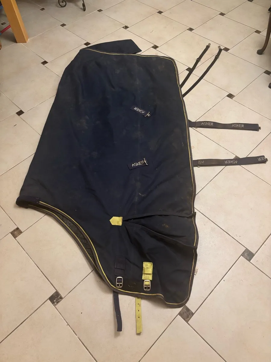 300g Turnout Rug - Image 3