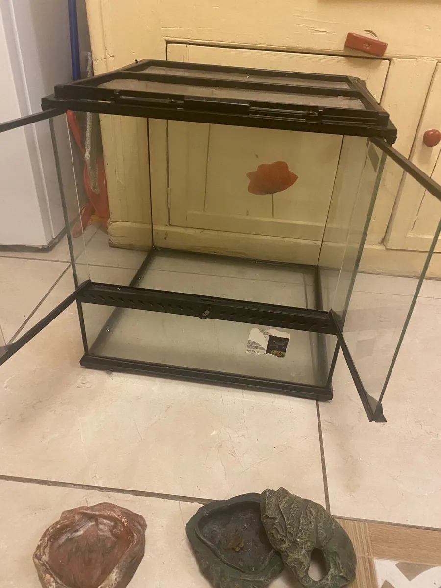 Exo terra terrarium + Extras - Image 3
