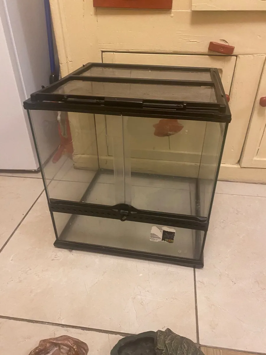 Exo terra terrarium + Extras - Image 4