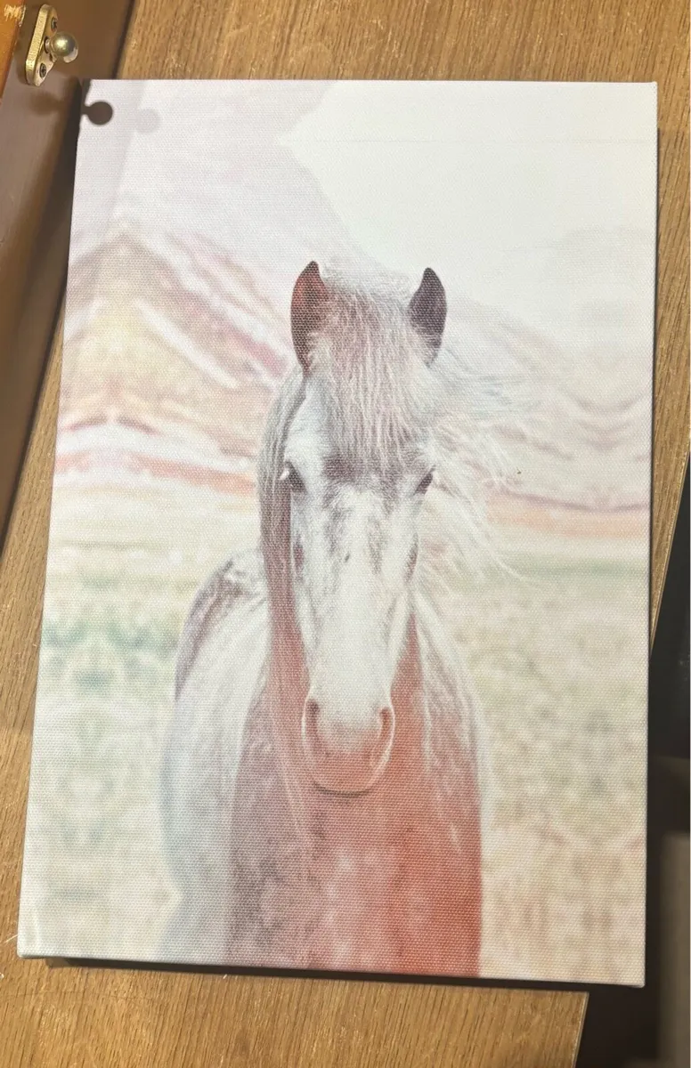 Horse Canvas - Image 1