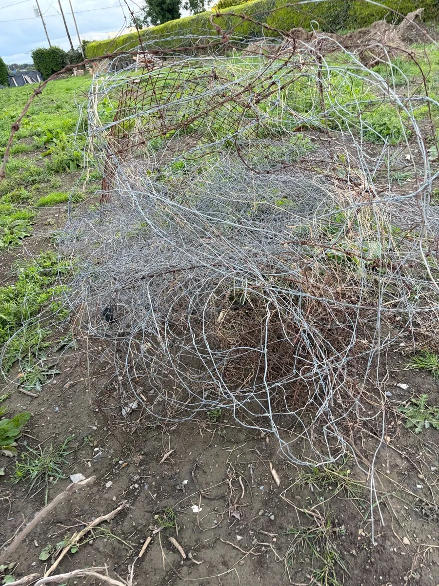 free metal (old fence) - Image 1