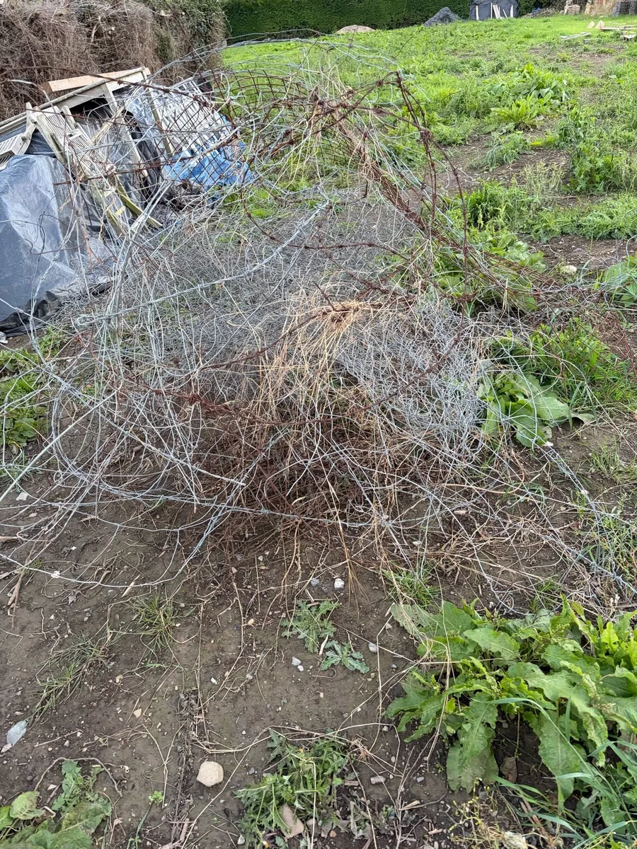free metal (old fence) - Image 2