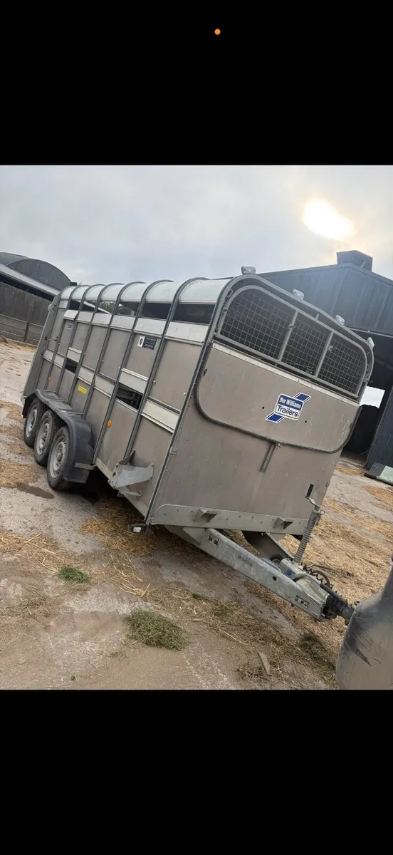 14ft Ifor Williams trailer - Image 1