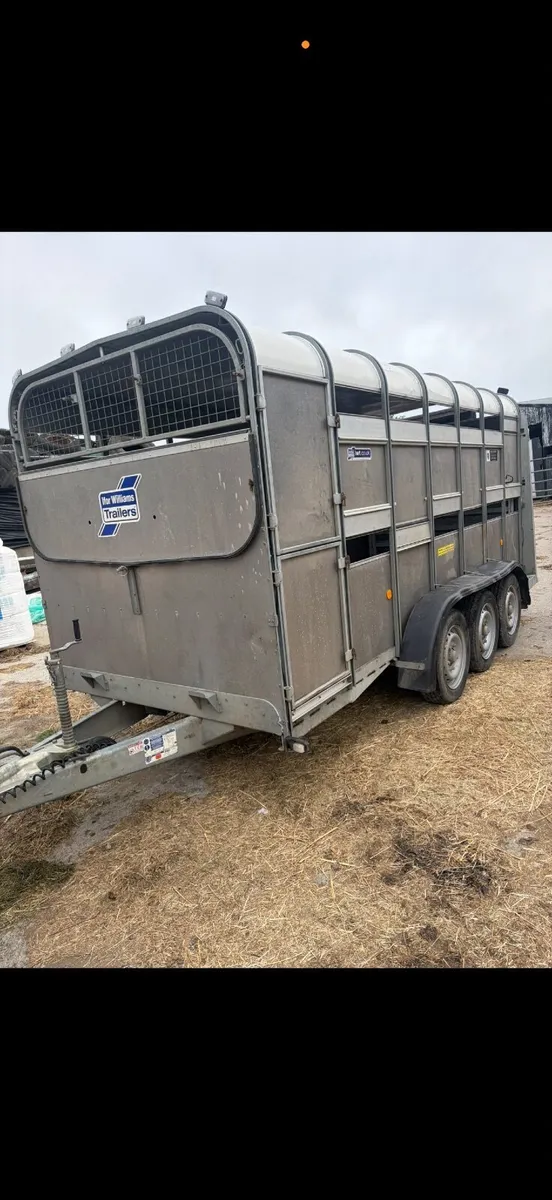 14ft Ifor Williams trailer - Image 4