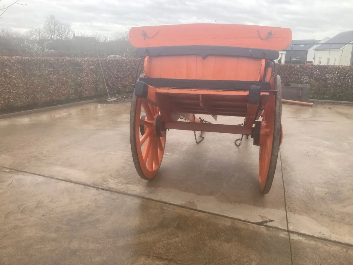 Horse cart - Image 3