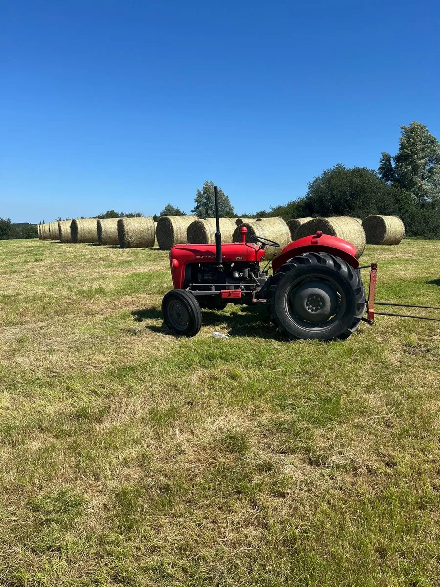 Hay for sale