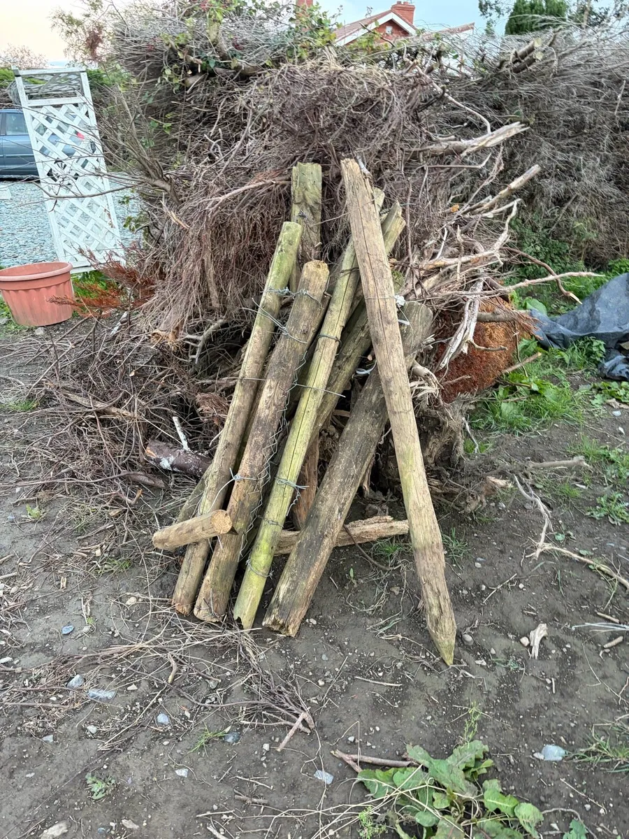 free fire wood - Image 1