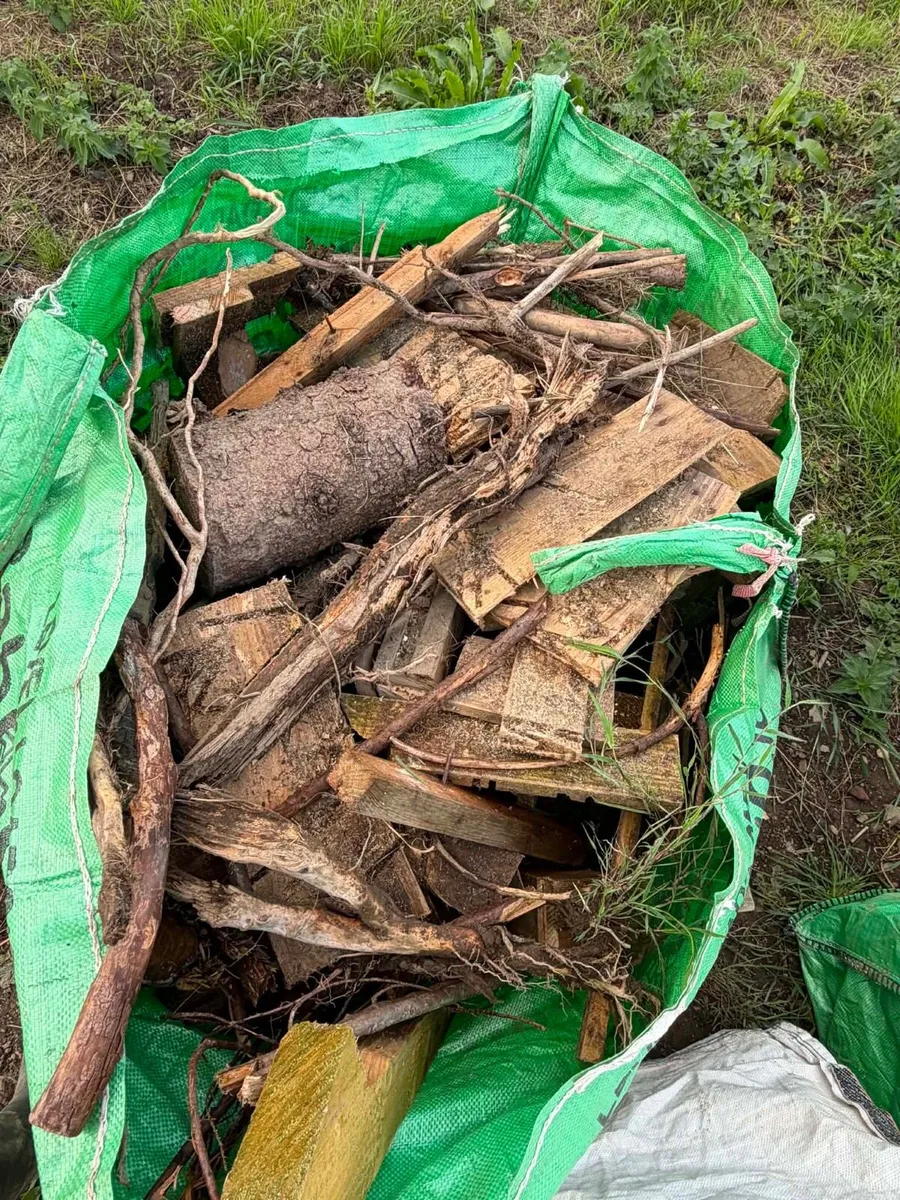 free fire wood - Image 2