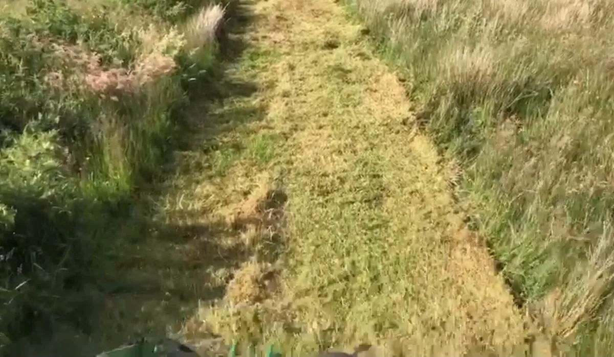 Mulcher hire - Image 2
