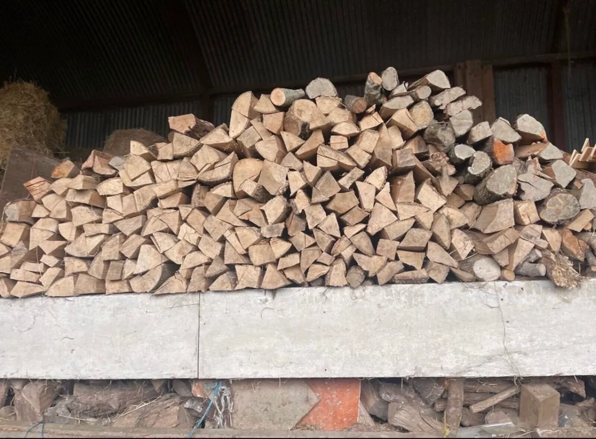 Firewood - Image 1