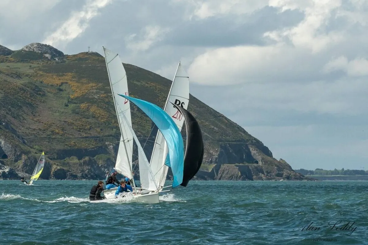 RS200 - Image 3