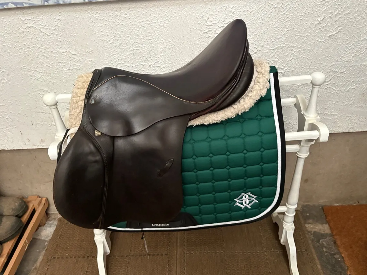 Stübben saddle - Image 1