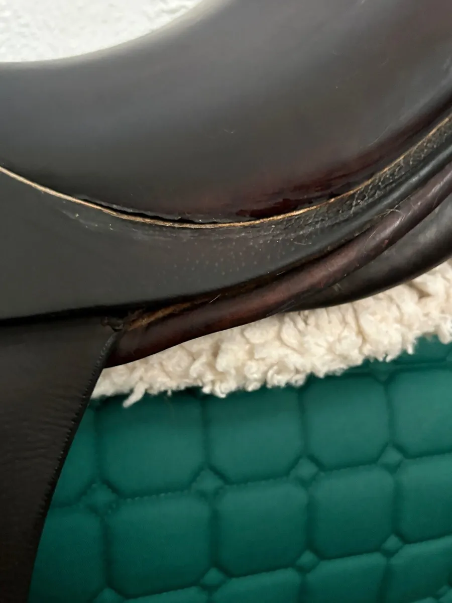Stübben saddle - Image 3