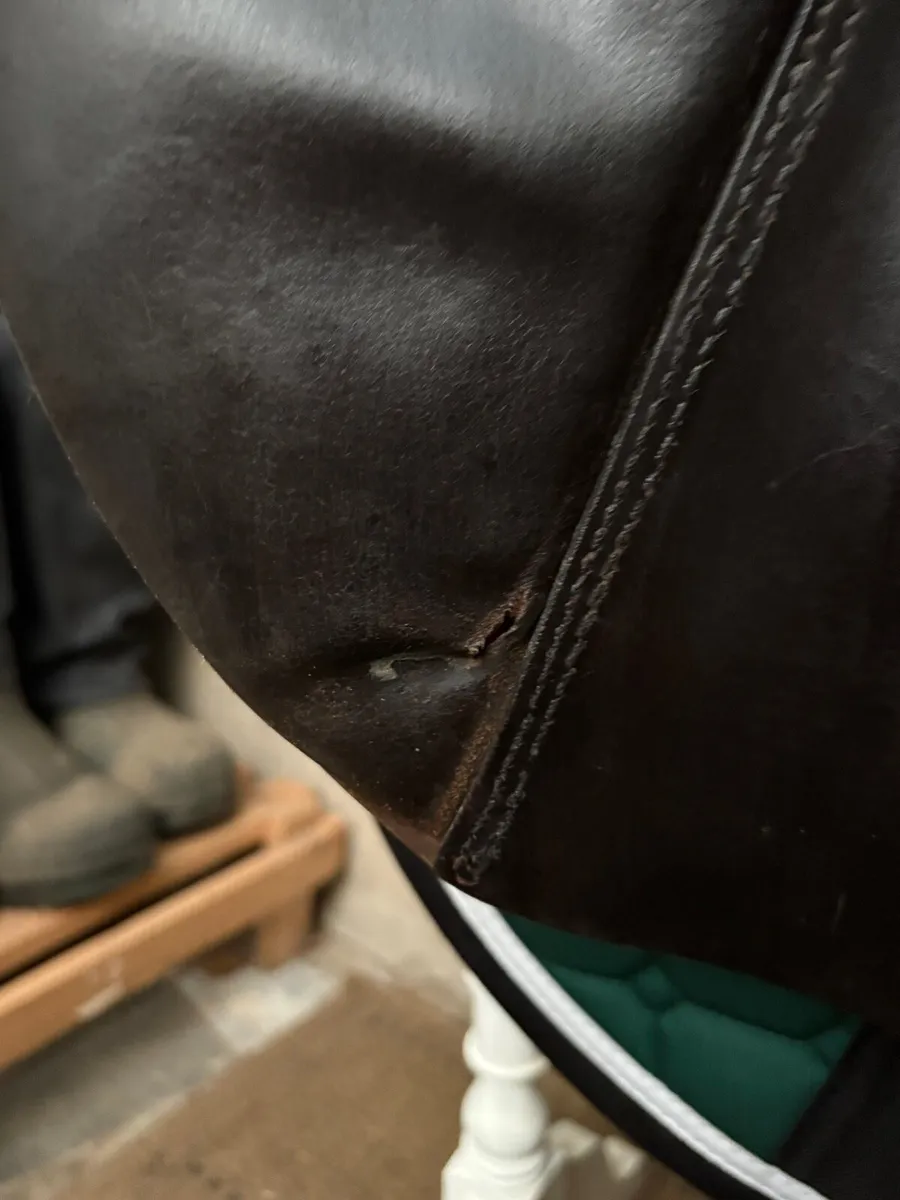 Stübben saddle - Image 4