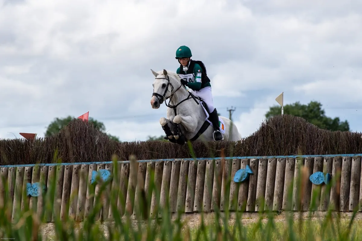 14.2hh connemara pony - Image 3