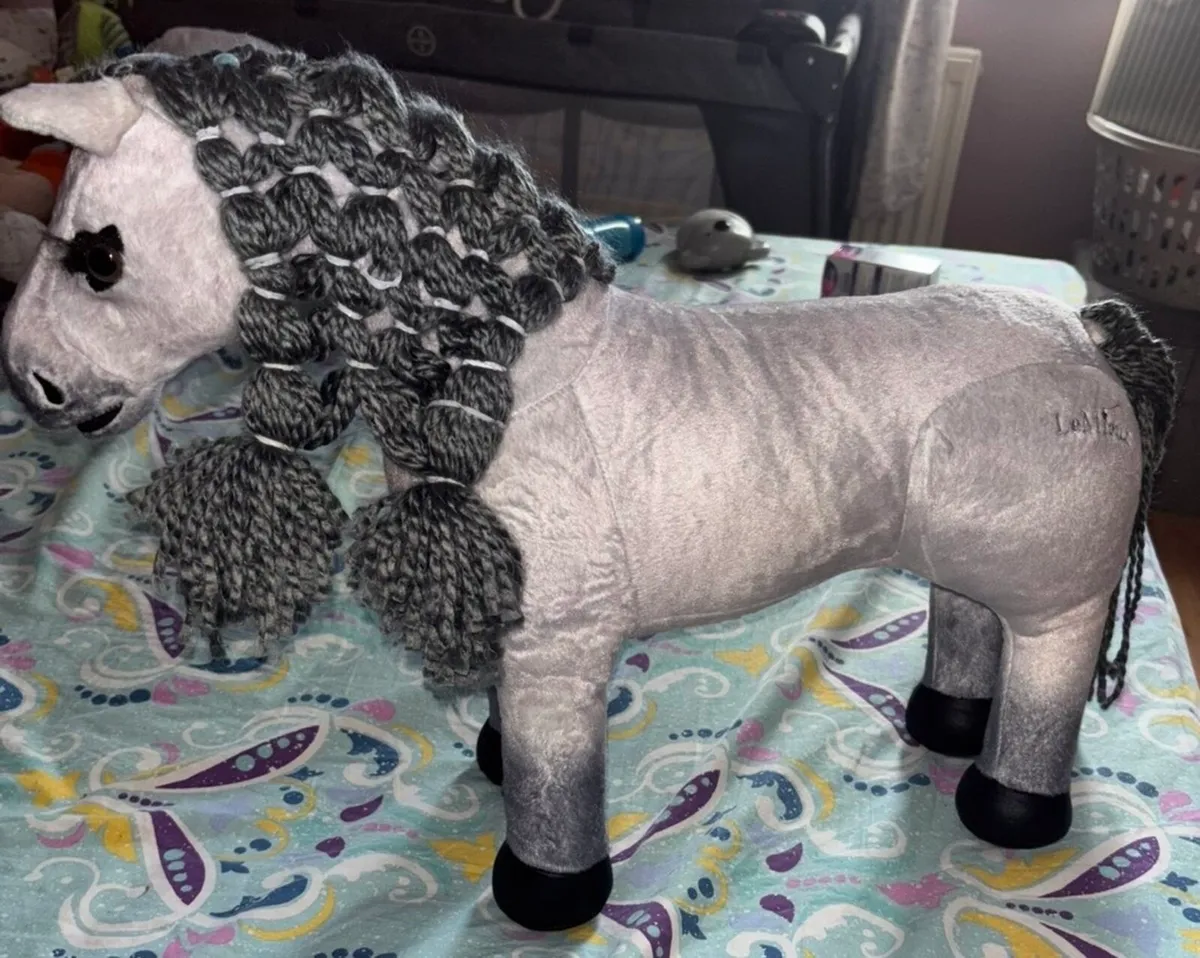 Lemieux Pony - Image 2
