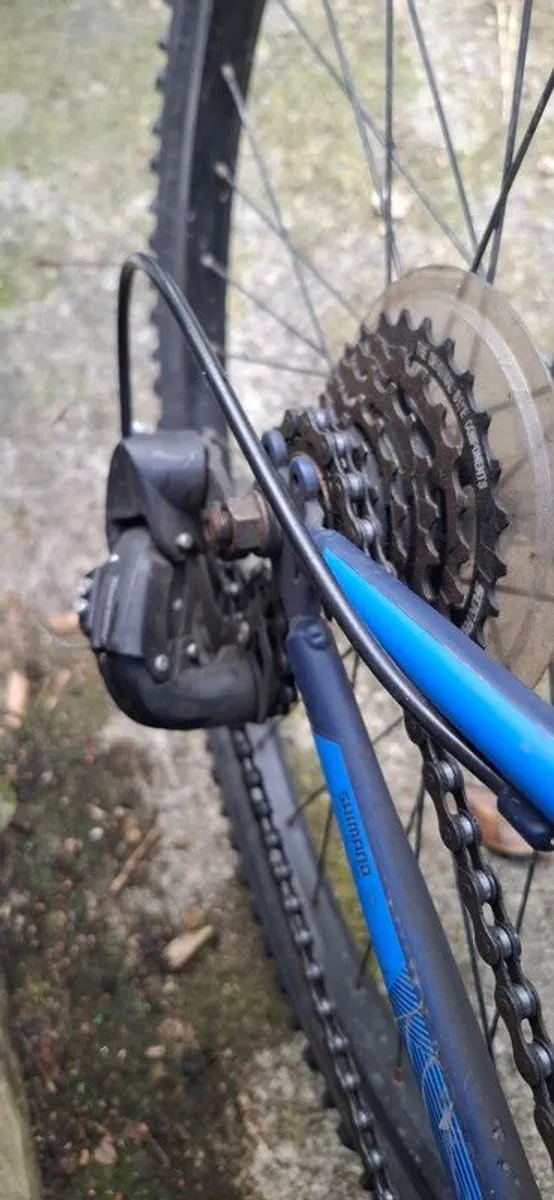 Boys bike - Image 2