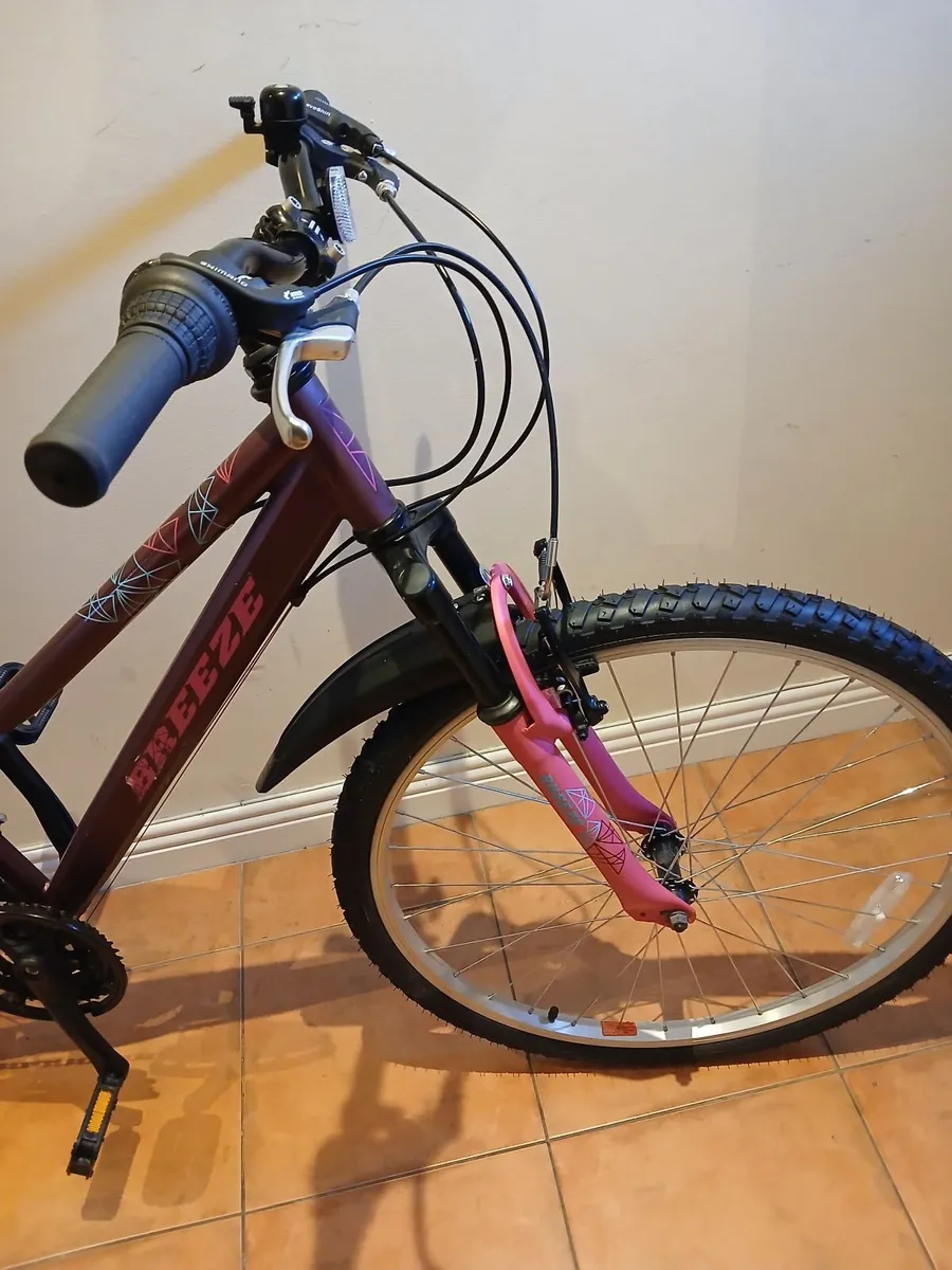 Bicycle - Image 2