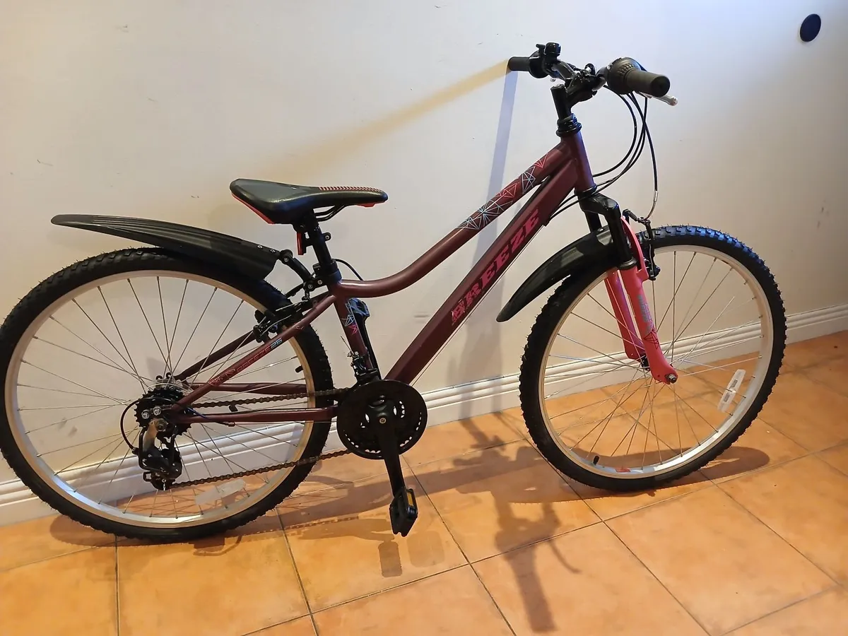 Bicycle - Image 4