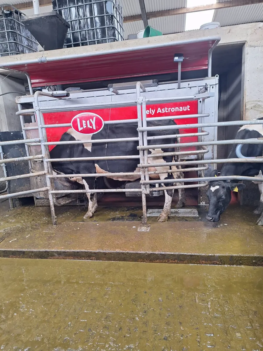 Dairy Farm Manager - Image 2
