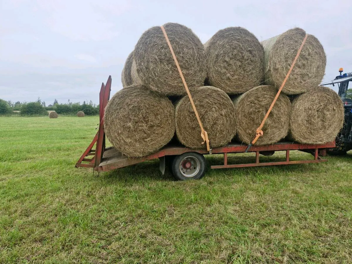 Hay - Image 1