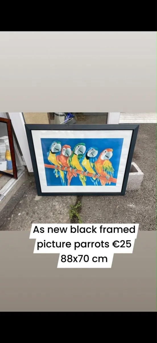picture with parrots - Image 1