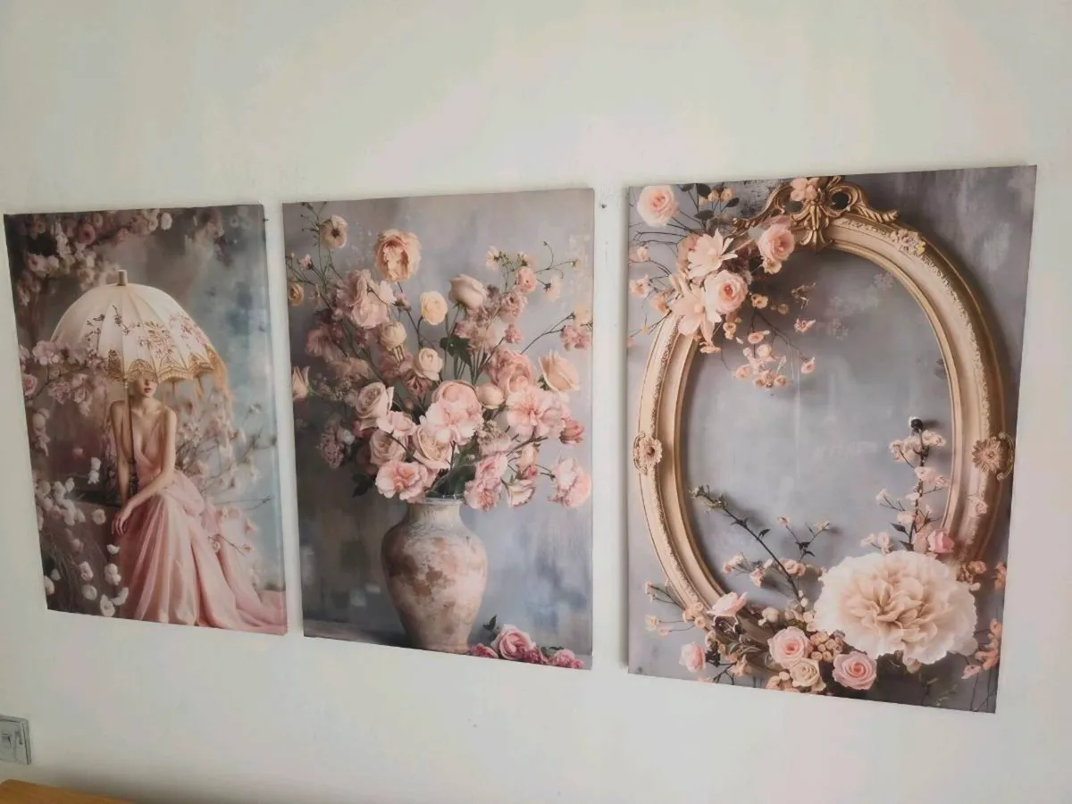 3 framed canvas 45x65cm each - Image 4